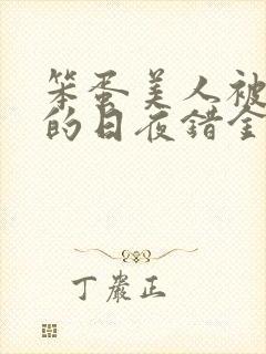 笨蛋美人被疼爱的日夜错金银封面