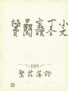 极品家丁小说免费阅读全文无删减封面