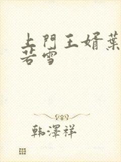 上门王婿叶凡唐若雪