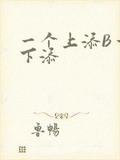 一个上添B一个下添