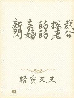 新来的总裁竟是闪婚的老公短剧