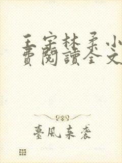 王宇林柔小说免费阅读全文最新章节
