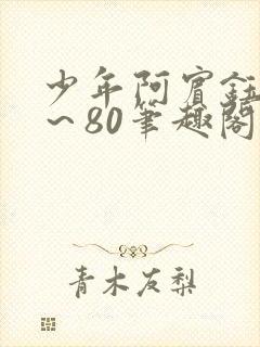 少年阿宾钰慧1～80笔趣阁