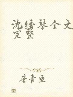 沈绣琴全文阅读完整封面