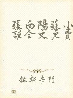 张向阳苏小棠小说全文免费阅读笔趣阁