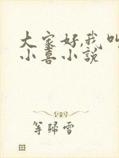 大家好,我叫林小喜小说封面