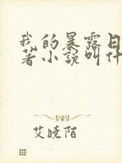 我的暴露日记原著小说叫什么