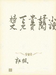 榜下贵婿小说全文免费阅读无弹窗封面