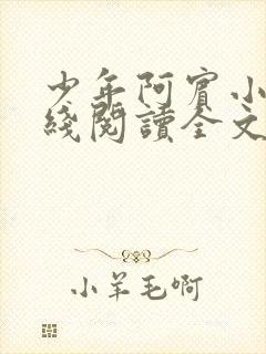 少年阿宾小说在线阅读全文无删减封面
