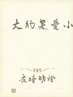 大约是爱小说