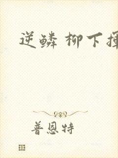 逆鳞 柳下挥封面