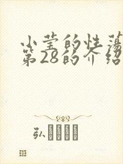 小莹的性荡生活第28的介绍封面