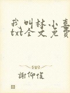 我叫林小喜乖宝txt全文免费阅读