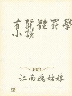 有关体罚学院的小说封面