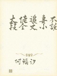 大佬追妻不择手段全文小说阅读全文