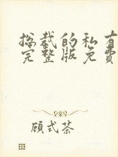 总裁的私有宝贝完整版免费阅读封面