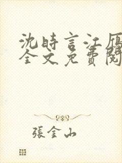 沈时言江雁小说全文免费阅读封面