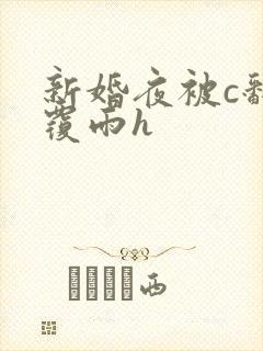 新婚夜被c翻云覆雨h封面