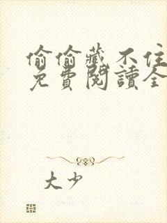 偷偷藏不住小说免费阅读全文无删减