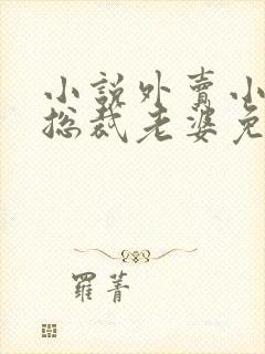 小说外卖小哥的总裁老婆免费看