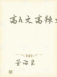 高h文高辣文