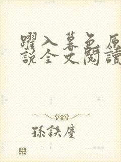 跃入暮色原著小说全文阅读封面