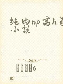 纯肉np高h色小说