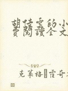 胡佳云的小说免费阅读全文无弹窗