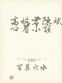 高婉君陈斌和赵心眉小说