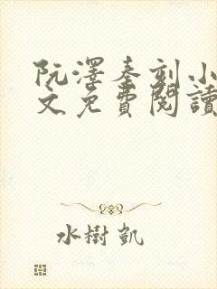 阮泽秦刻小说全文免费阅读最新章节封面