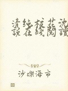 清纯校花沈柔小说在线阅读