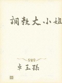 调教大小姐