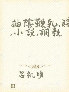 抽阴鞭乳,贱奴,小说,调教