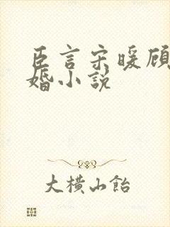 臣言宋暖顾时军婚小说