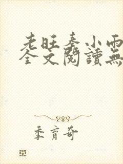 老旺秦小雨小说全文阅读无弹窗