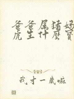 爸爸属猪妈妈属虎生什么宝宝