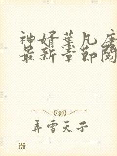 神婿叶凡唐若雪最新章节阅读封面