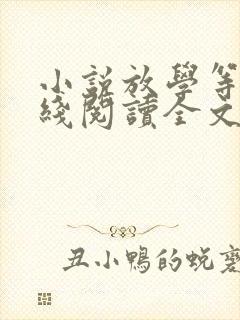 小说放学等我在线阅读全文