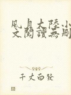 风月大陆小说全文阅读无删减