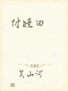 付晓田