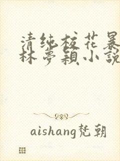 清纯校花暴露记林梦颖小说免费阅读