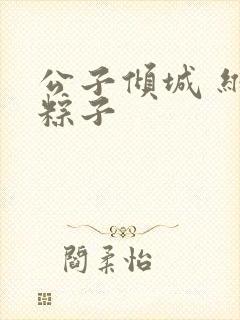 公子倾城 维和粽子封面