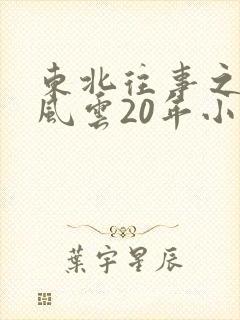 东北往事之黑道风云20年小说封面