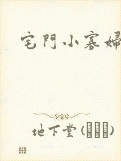 宅门小寡妇