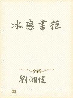 冰恋书柜封面