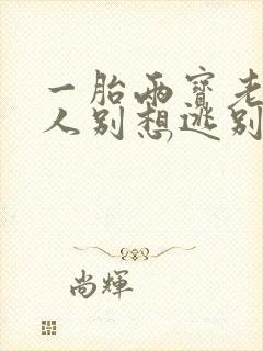 一胎两宝老婆大人别想逃别想