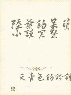 陆爷的呆萌甜妻小说完整