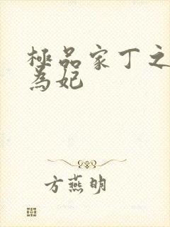 极品家丁之册母为妃