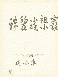 他的小祖宗甜又野在线小说