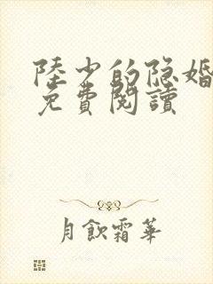 陆少的隐婚甜妻免费阅读